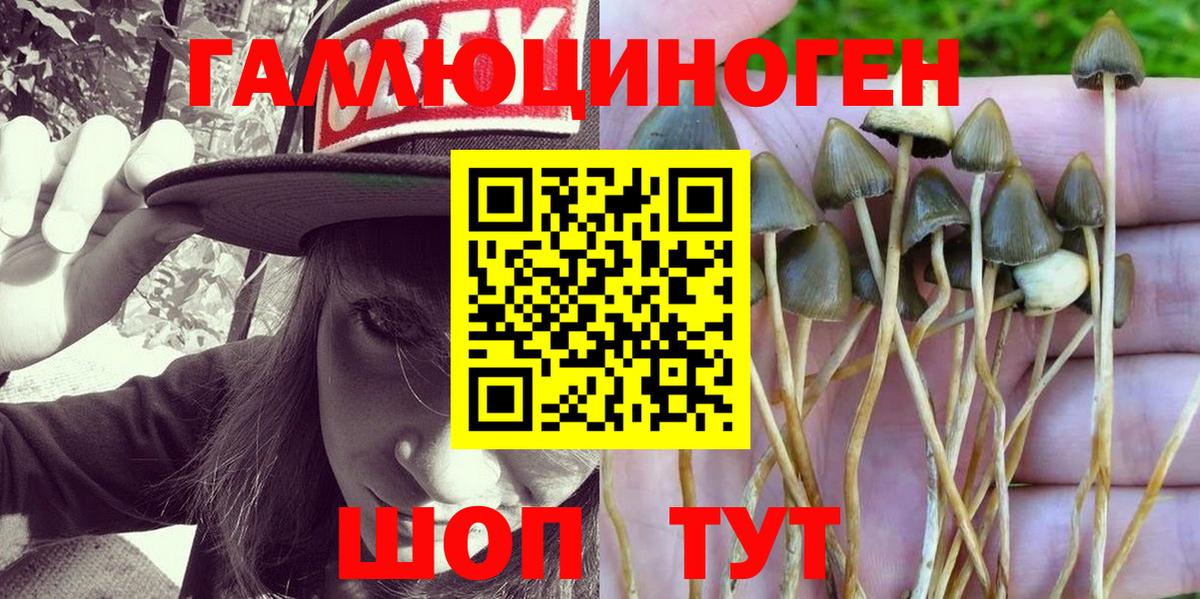 Псилоцибиновые грибы Cubensis  Вход с VPN  Киржач  Псилоцибиновые грибы Magic Shrooms 