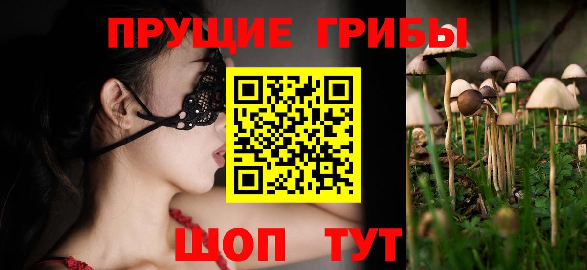 Псилоцибиновые грибы Psilocybine cubensis Киржач